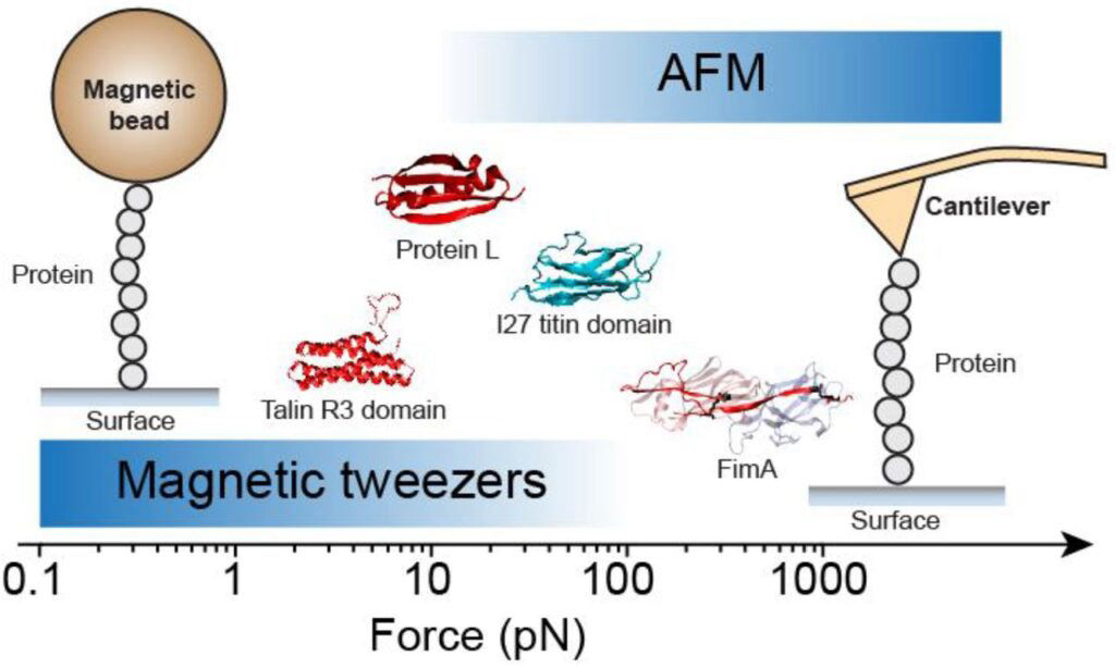 Hashemi Research Group